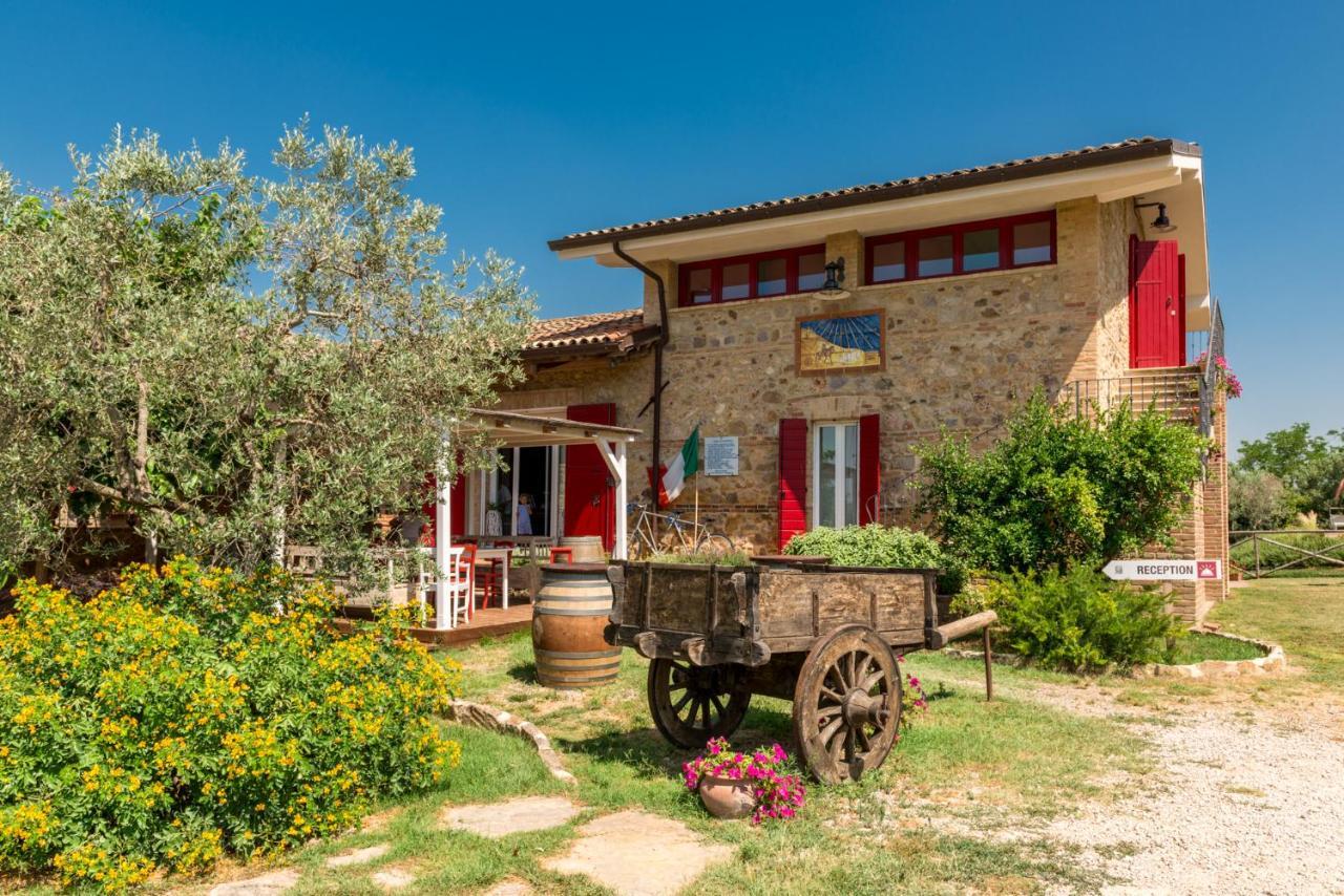 Il Barbagianni Bed & Breakfast Montepescali Luaran gambar