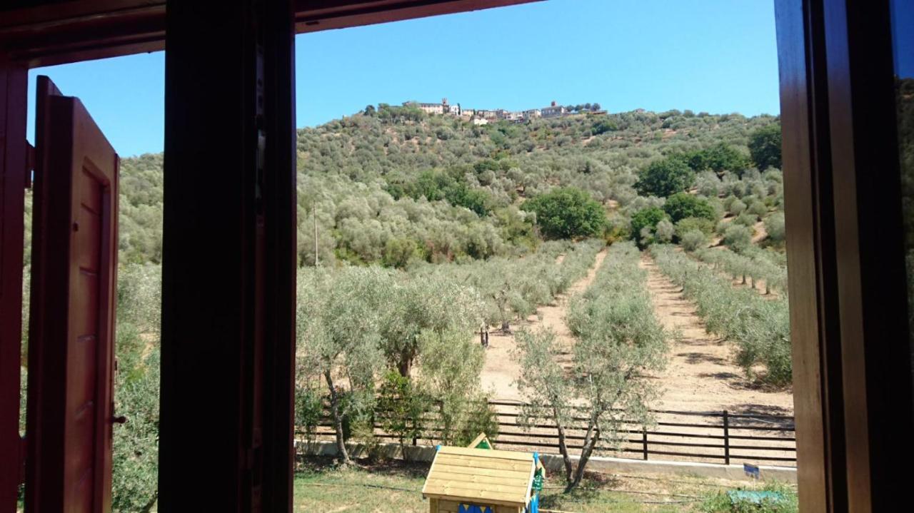 Il Barbagianni Bed & Breakfast Montepescali Luaran gambar