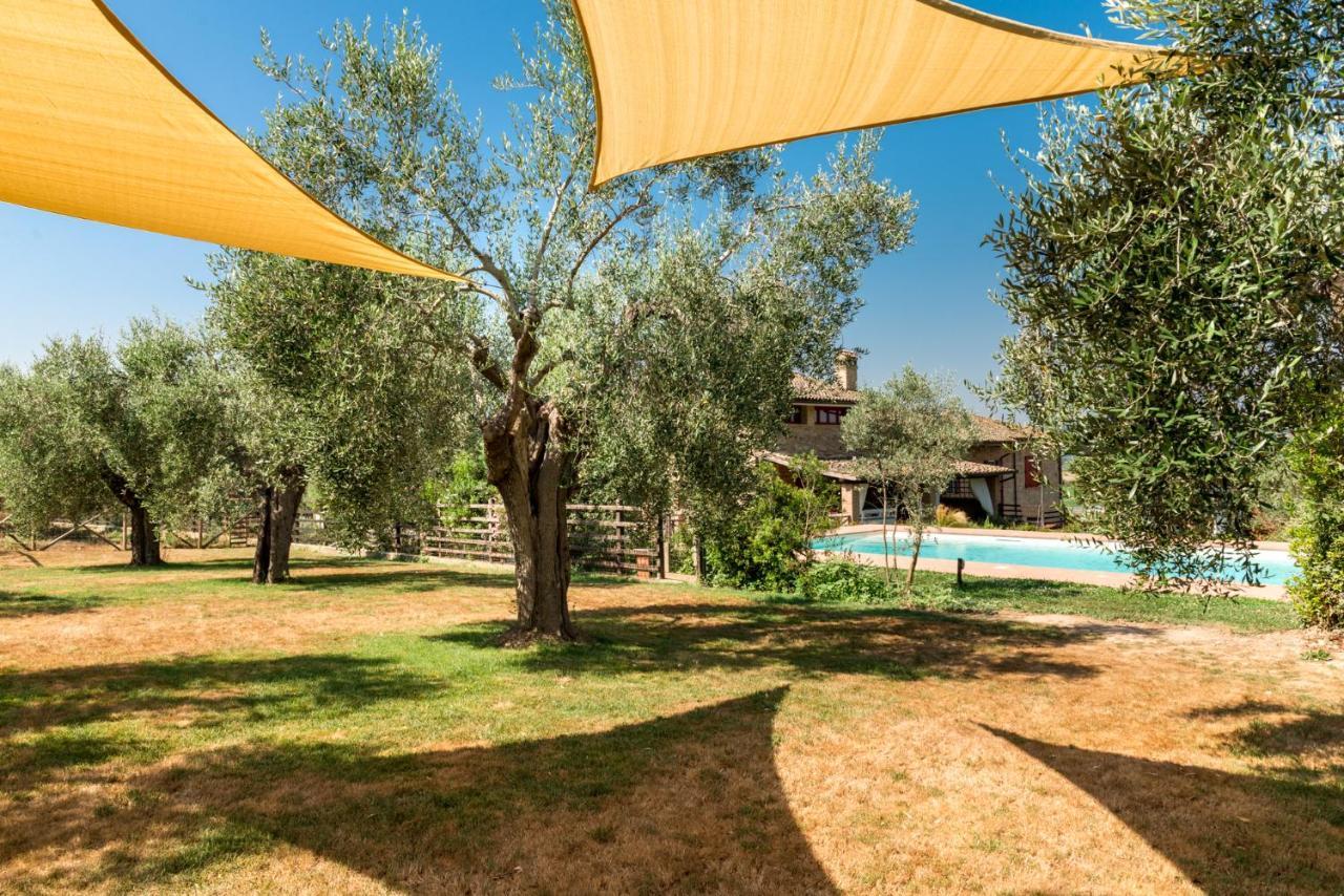 Il Barbagianni Bed & Breakfast Montepescali Luaran gambar