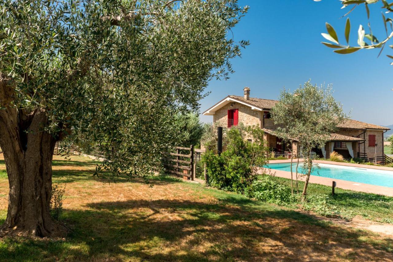 Il Barbagianni Bed & Breakfast Montepescali Luaran gambar